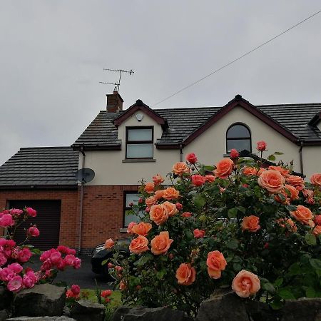 Fox Heaven B&B Carrickfergus Exterior photo
