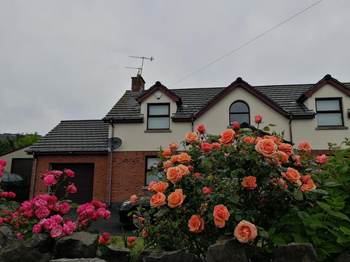 Fox Heaven B&B Carrickfergus Exterior photo